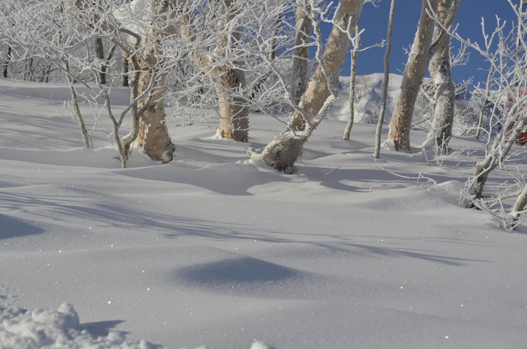 B&B Santana Hakuba Exterior photo