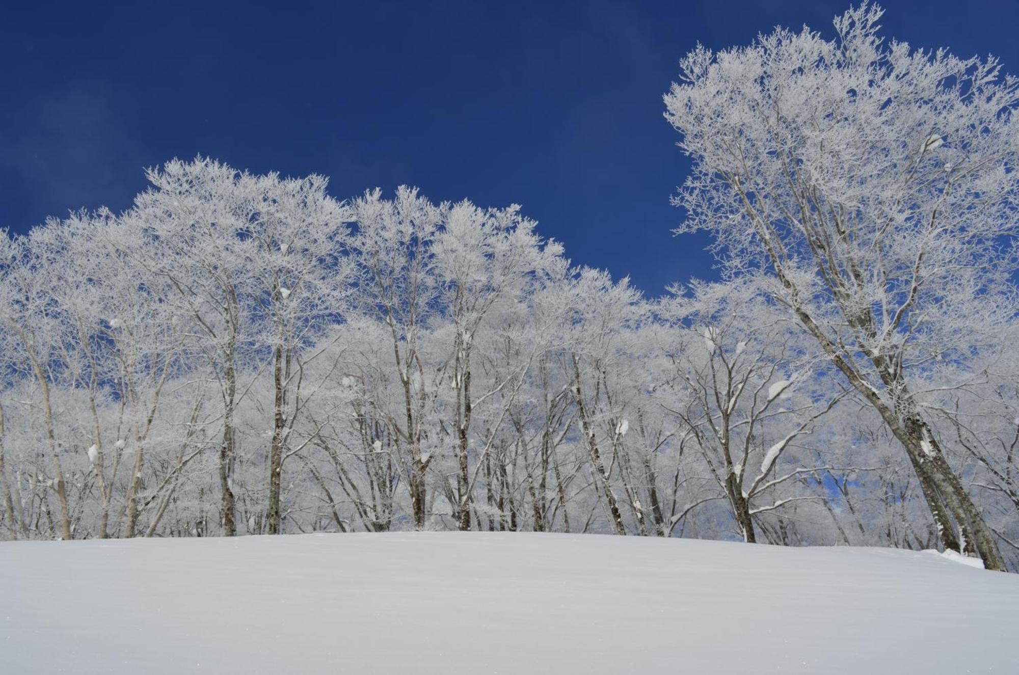 B&B Santana Hakuba Exterior photo