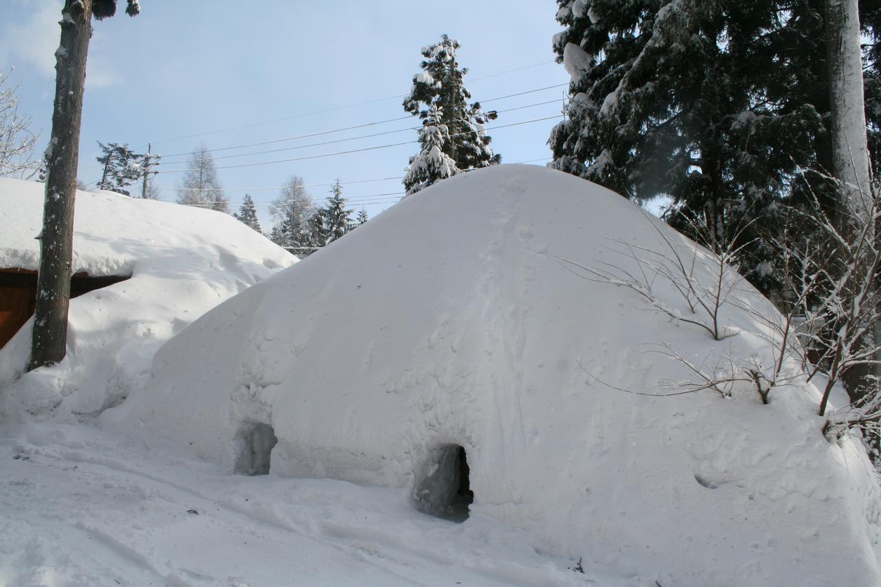 B&B Santana Hakuba Exterior photo